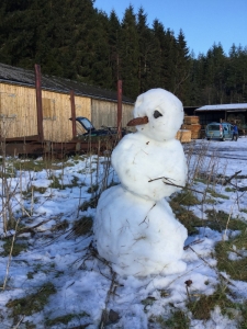 Snowman at Craig a' Barns February 2016, Alice Nicoll