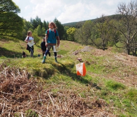 Young orienteers, 