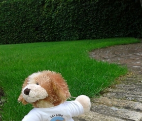 Dug - club mascot!, 