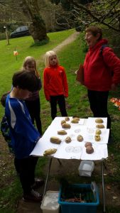 Dalguise coaching 2016, Alistair Duguid