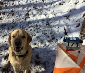 Hamish tries orienteering at Craig a' Barns Feb 2016!, Alice Nicoll