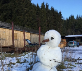 Snowman at Craig a' Barns February 2016, Alice Nicoll