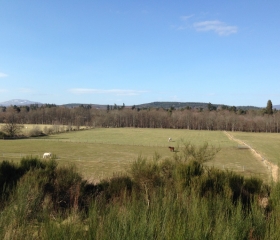 A sunny Balnagowan and Aboyne, from the South Deeside Road, 