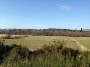A sunny Balnagowan and Aboyne, from the South Deeside Road, 