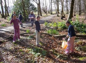 Runnable woodland at Belmont, 