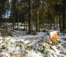 Winter in Pitmedden!, 