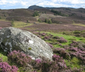 Looking towards Deuchary Hill, 