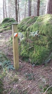 Woodland Challenge marker at The Hermitage, Moira Laws