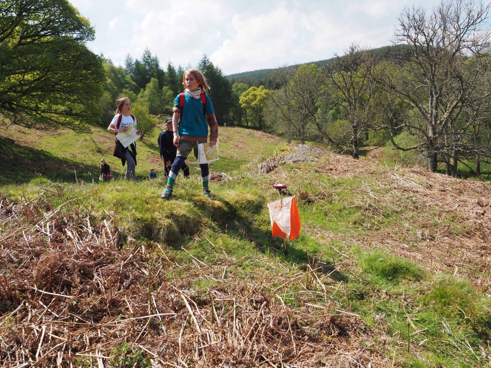 Young orienteers