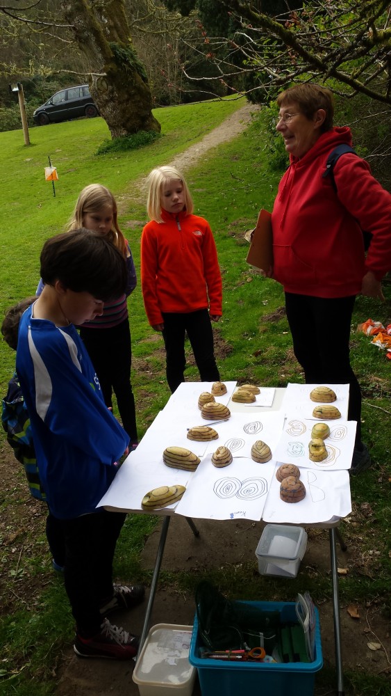 Dalguise coaching 2016