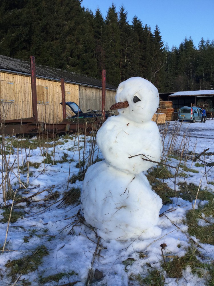 Snowman at Craig a' Barns February 2016