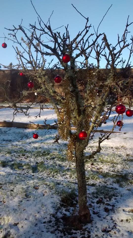 Blackspout Christmas 2017