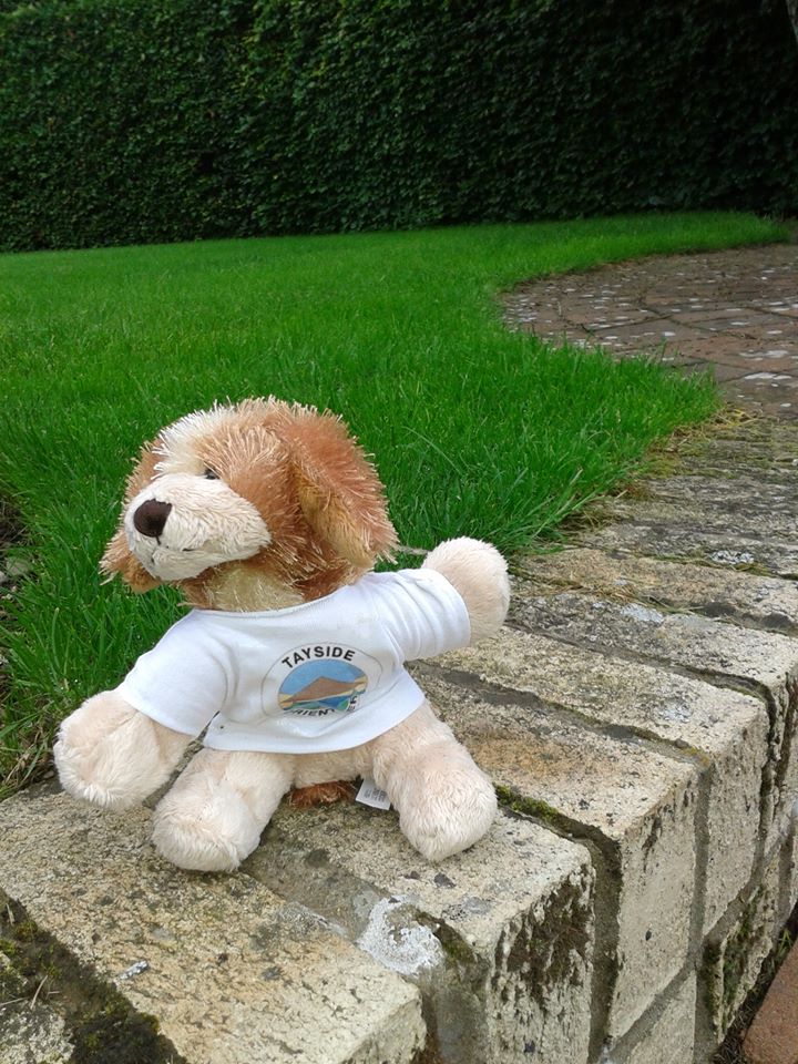 Dug - the club's mascot