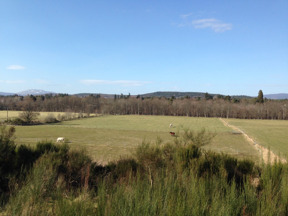 A sunny Balnagowan and Aboyne, from the South Deeside Road