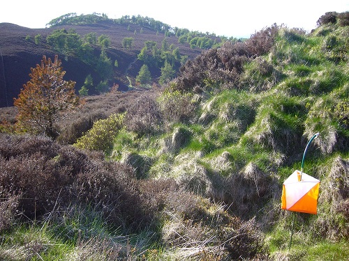 Balkello terrain