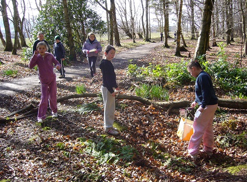 Runnable woodland at Belmont