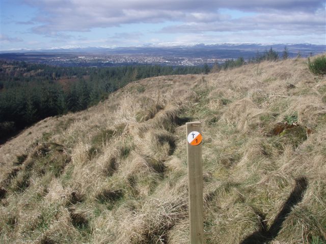 Open moorland on Murrayshall Hill