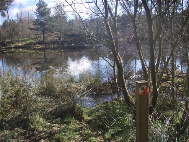Forest and loch in the heart of Deuchny.