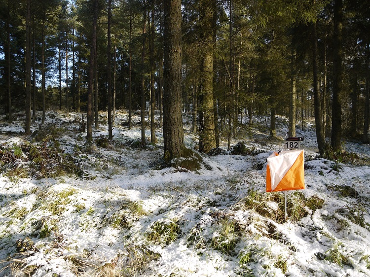 Winter in Pitmedden!