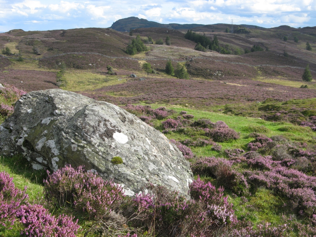 Looking towards Deuchary Hill