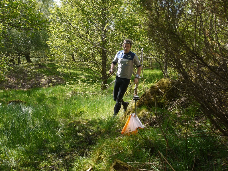 Runnable woodland in Auchingarrich